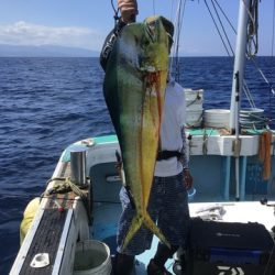 八海丸 釣果