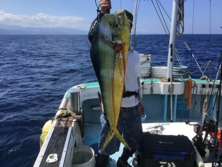 八海丸 釣果