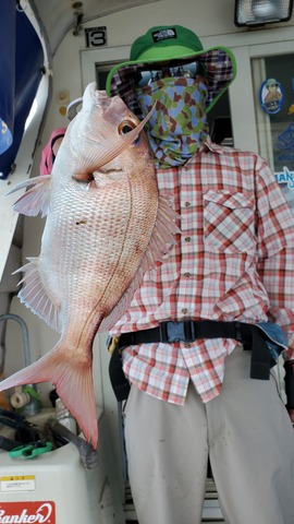 遊漁船　ニライカナイ 釣果