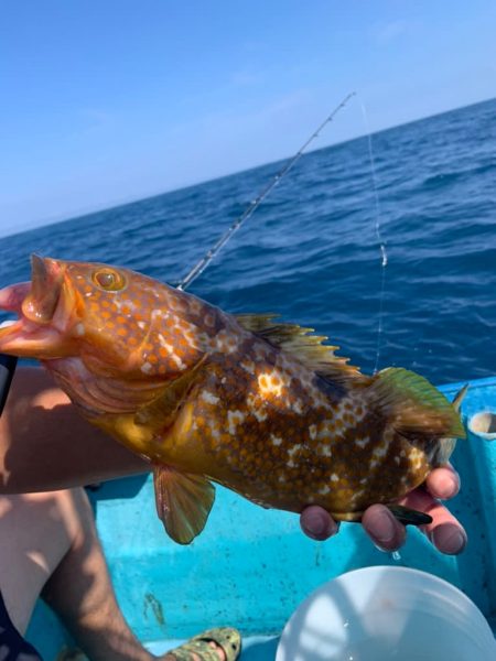 宝昌丸 釣果