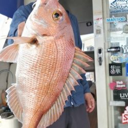 遊漁船　ニライカナイ 釣果