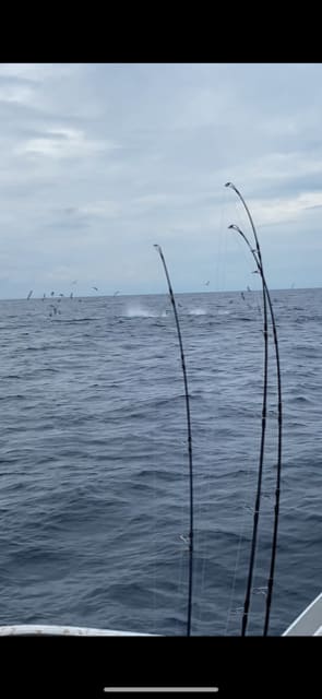 へいみつ丸 釣果