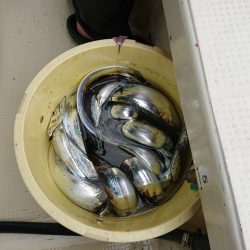 たかみ丸 釣果