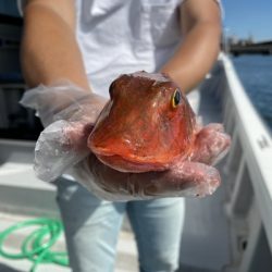 ミタチ丸 釣果