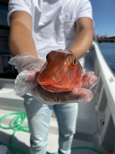 ミタチ丸 釣果