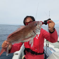 海峰 釣果