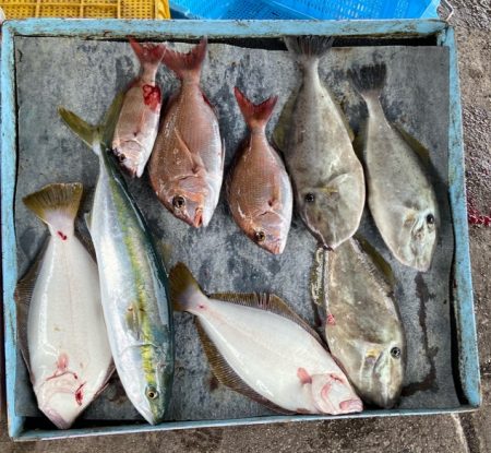 明神釣船 釣果