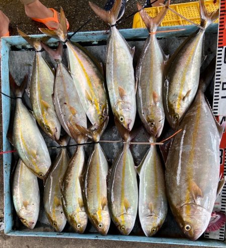 明神釣船 釣果