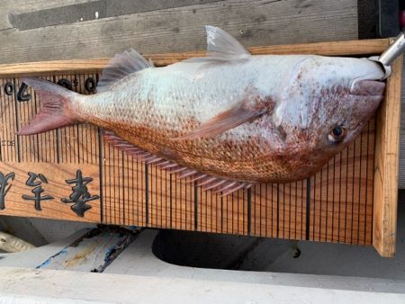 幸吉丸 釣果