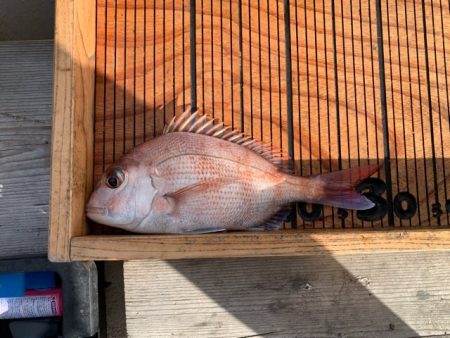 幸吉丸 釣果