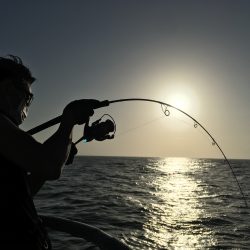 松鶴丸 釣果