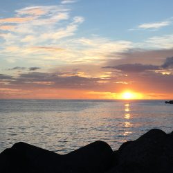 松鶴丸 釣果