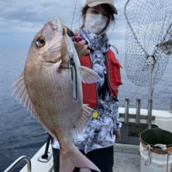 シーモンキー 釣果