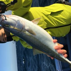 松鶴丸 釣果