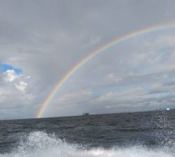 東京湾探釣隊ぼっち 釣果