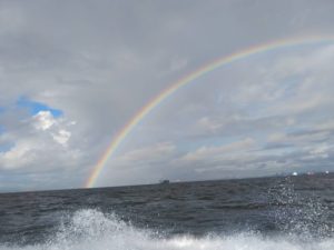 東京湾探釣隊ぼっち 釣果