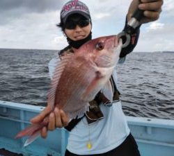 東京湾探釣隊ぼっち 釣果