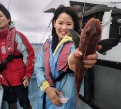 東京湾探釣隊ぼっち 釣果