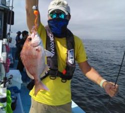 東京湾探釣隊ぼっち 釣果