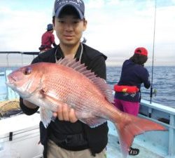 東京湾探釣隊ぼっち 釣果