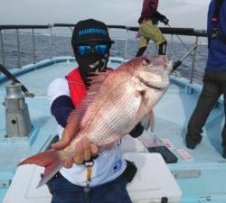 東京湾探釣隊ぼっち 釣果