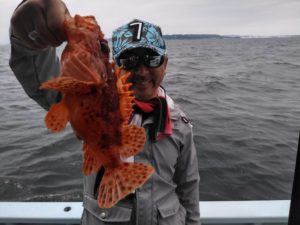 東京湾探釣隊ぼっち 釣果