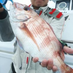 新幸丸 釣果