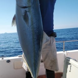 秀漁丸 釣果