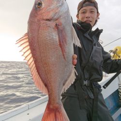 だて丸 釣果