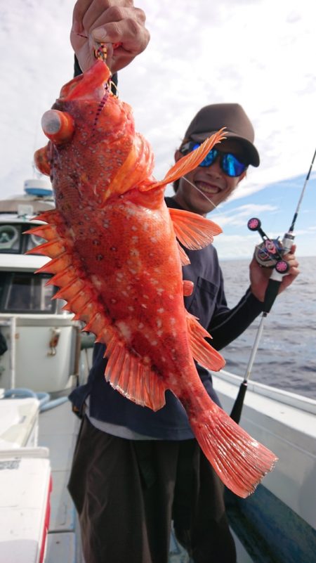 だて丸 釣果