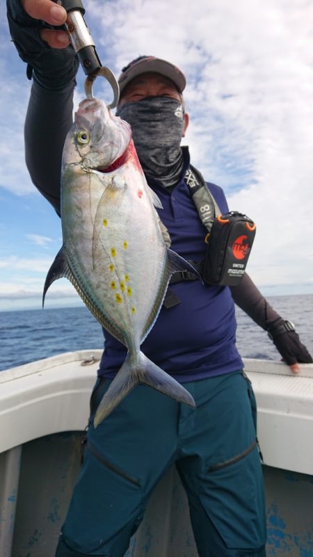 だて丸 釣果