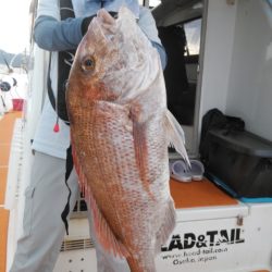 秀漁丸 釣果