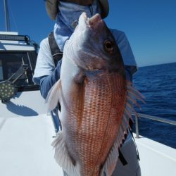 秀漁丸 釣果