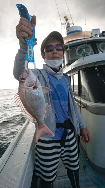 だて丸 釣果