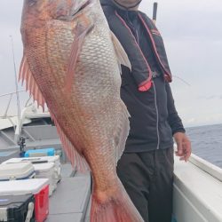 だて丸 釣果