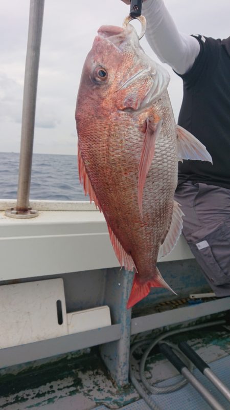 だて丸 釣果