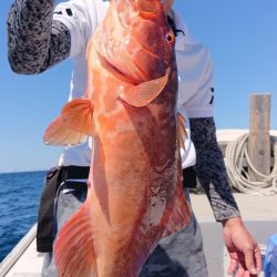 海皇丸 釣果