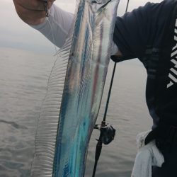 シースナイパー海龍 釣果