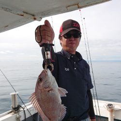 だて丸 釣果