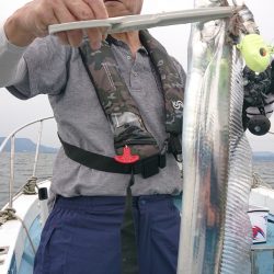 シースナイパー海龍 釣果