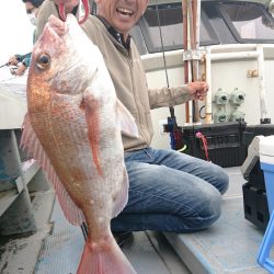 だて丸 釣果