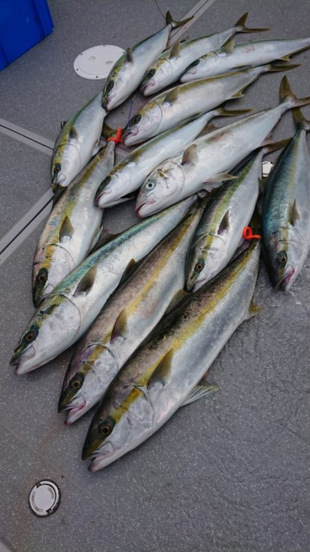 宝生丸 釣果