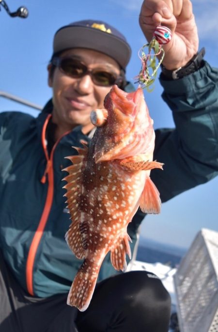 渡船屋たにぐち 釣果