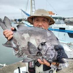 富士丸 釣果