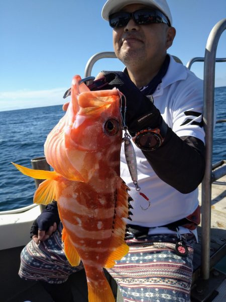 光生丸 釣果