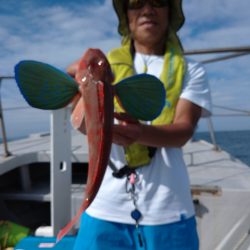 ありもと丸 釣果