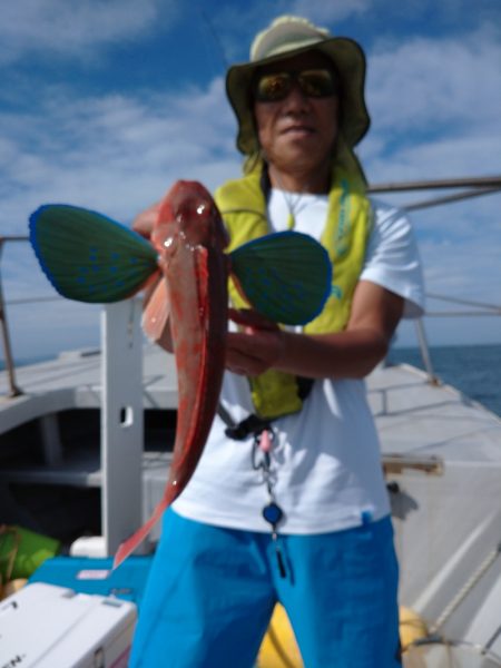 ありもと丸 釣果