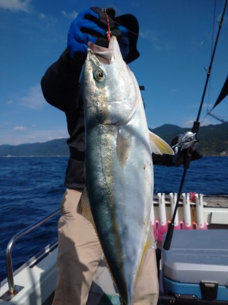 鷹王丸 釣果