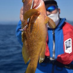 渡船屋たにぐち 釣果