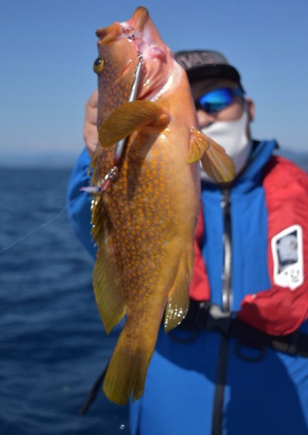 渡船屋たにぐち 釣果